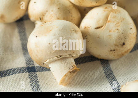 Raw White Organic Baby Button Mushrooms Ready to Cook Stock Photo