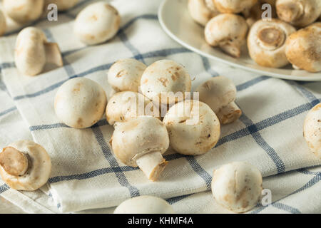 Raw White Organic Baby Button Mushrooms Ready to Cook Stock Photo