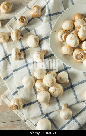 Raw White Organic Baby Button Mushrooms Ready to Cook Stock Photo