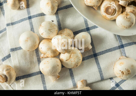 Raw White Organic Baby Button Mushrooms Ready to Cook Stock Photo