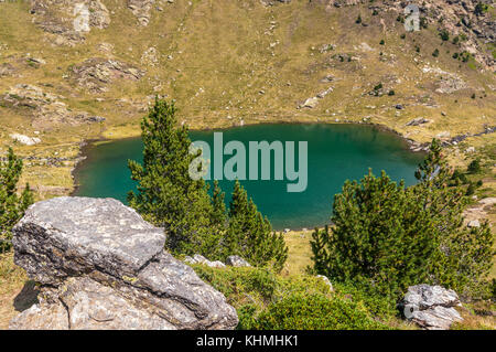 view of high mountain lake called 'Estany primer' near Ordino with some mountain pine in the foreground, Tristaina, Andorra Stock Photo