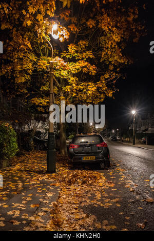 London, UK. 19th Nov, 2017. Autumn leaves and a parked car under street lights in the London suburb of Ealing. Photo date: Sunday, November 19, 2017. Credit: Roger Garfield/Alamy Live News Stock Photo