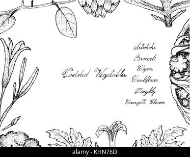 Vegetable, Illustration Frame of Hand Drawn Sketch Fresh Podded Vegetables Isolated on White Background. Stock Vector