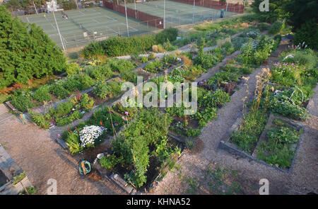 Aerial drone view of community vegetable garden, Solstice  Park, Seattle Stock Photo