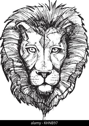 शेर बनाने का सबसे आसान तरीका || शेर बनाना सीखे || how to draw a lion -  YouTube