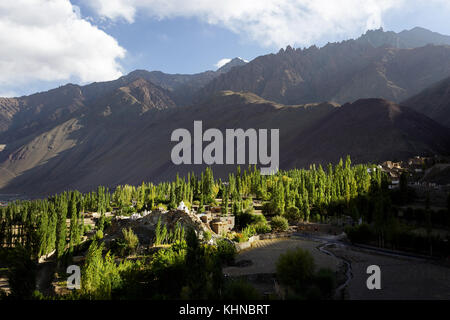 Aerial view of traditional village of Alchi, Ladakh, Jammu and Kashmir, India. Stock Photo