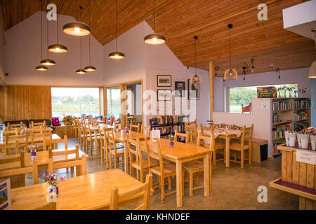 Cletwr Cafe and community shop. Tre'r Ddol, Ceredigion Wales UK