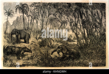 Prehistoric, Miocene Landscape Stock Photo: 135042283 - Alamy