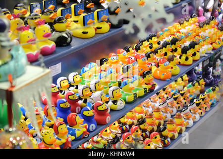 The Duck House in Meeting House Lane Brighton which only sells hundreds of different rubber ducks. Stock Photo