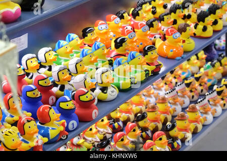 The Duck House in Meeting House Lane Brighton which only sells hundreds of different rubber ducks. Stock Photo