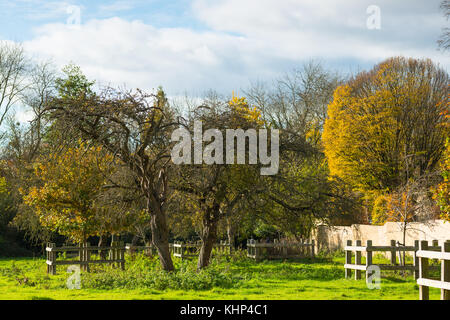 Green fields off Trumpington st., opposite the Cambridge University Botanic garden. Cambridge, Camridgeshire, England, UK Stock Photo