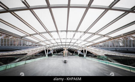 Lisbon Oriente Train Station Interior Stock Photo