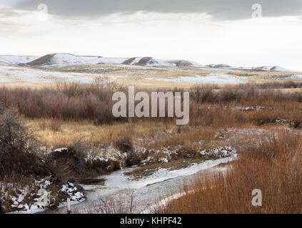 An icy stream running through fall foliage with foothills in the background. Photographed in natural light in Montana. Stock Photo