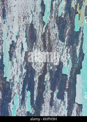 Textured background/backdrop of turquoise, grey and silver peeling paint forming stylish pattern Stock Photo