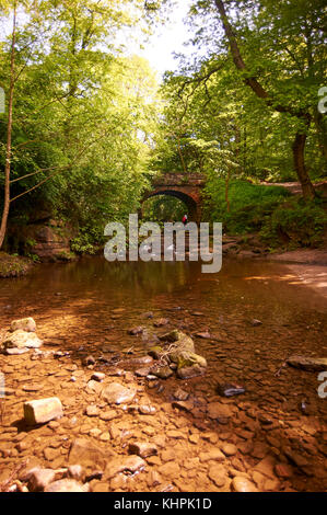 Scenic view of Little Beck flowing under traditional stone bridge in woodlands, Littlebeck, North York Moors, UK Stock Photo
