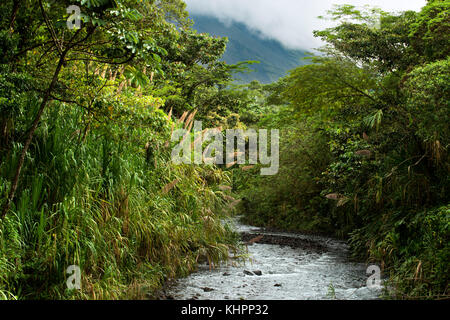 View from the bridge at Rio de La Fortuna, Costa Rica. Rainforest, La Fortuna river, Alajuela province, Costa Rica, Central America Stock Photo