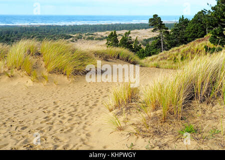 Oregon Dunes National Recreation Area along Pacific Coast Scenic Byway. Stock Photo
