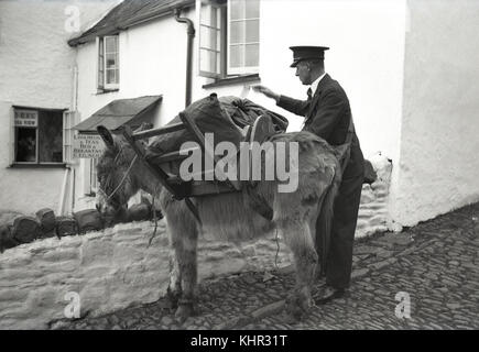 1950s, a smart postman wearing his hat with his donkey who with a wooden harness is carrying the mail sacks. Taken at Covelly, Devon, England, UK, where the steep and narrow cobble streets saw donkeys used for many such purposes around the village and harbour. Stock Photo