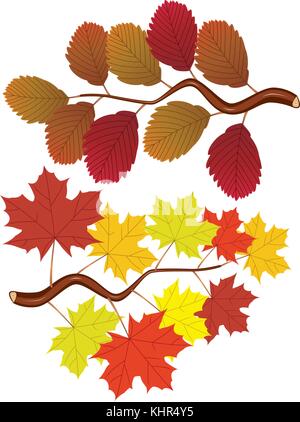 vector branches set with fall elm and maple leaves Stock Vector