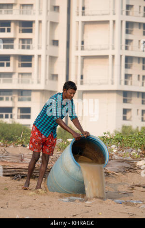 Fenugreek plant farmer working plot in the sand at Versova Beach, Mumbai Stock Photo