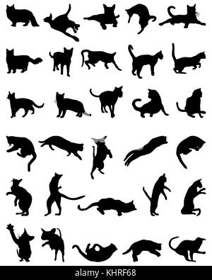Black silhouettes of cats on white background Stock Photo