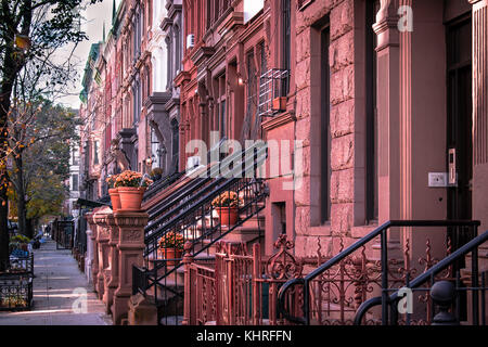 Brownstones in a Harlem neighborhood. Stock Photo