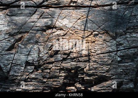 Directly Above Shot Of Carved Tree Bark With Knife Cuts Stock Photo