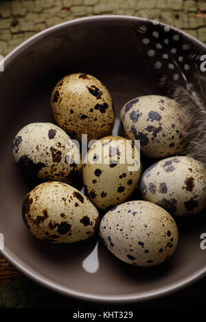 Fresh quails eggs in bowl, food above Stock Photo