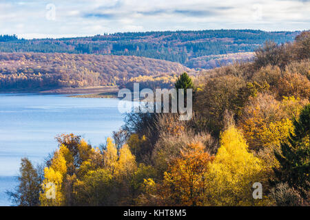 Banks of Gileppe lake with colorful foliage on trees, Belgian Ardennes, Liege province Stock Photo