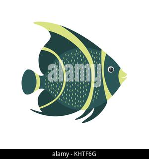 French angelfish Pomacanthus paru . Marine fish. Stock Vector