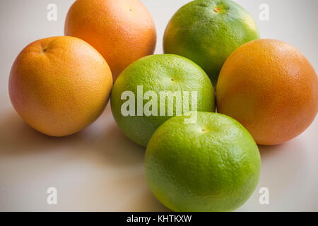 Healthy Grapefruits / different species Stock Photo