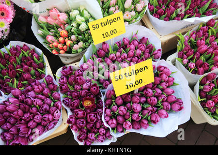 Tulips for sale at the world famous floating flower market on the Singel canal, in Amsterdam in the Netherlands Stock Photo