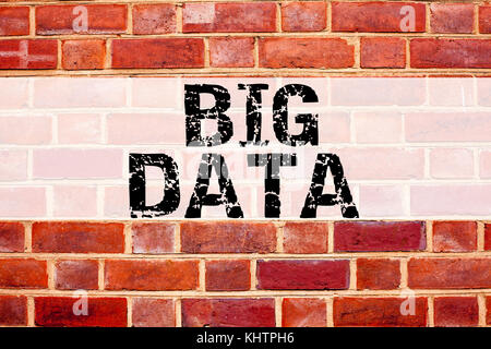 Conceptual announcement text caption inspiration showing Big Data. Business concept for Storage Network Online Server written on old brick background  Stock Photo