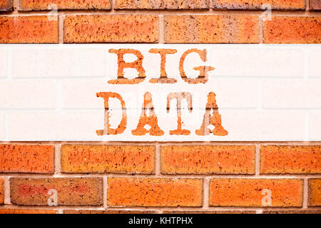Conceptual announcement text caption inspiration showing Big Data. Business concept for Storage Network Online Server written on old brick background  Stock Photo