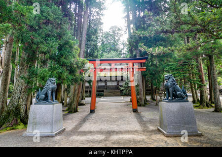 Koya San Wakayama Osaka - October 2017 - Torii Gate At Koyasan Wakayama Japan. Mount Koya San is the center of Shingon Buddhism, an important Buddhist Stock Photo