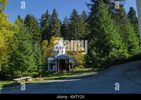 Beautiful  landscape with autumnal  venerable pine tree and old chapel, located in Old park Tsarska or Royal   Bistritsa near by  resort  Borovets, Ri Stock Photo