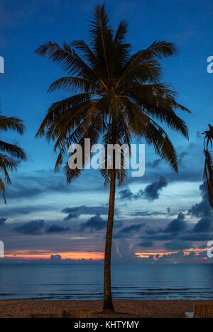 Palm tree silhouette at the sunset, Thailand Stock Photo