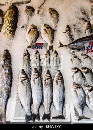 Fish in Surrey street market showing pricing Stock Photo