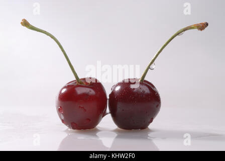 Two dark maroon cherries in droplets of dew, close-up. Stock Photo