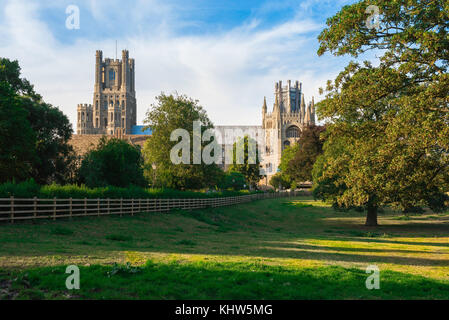 Ely Cambridgeshire, the city cathedral viewed from the Cherry Hill Park, Ely, Cambridgeshire, UK. Stock Photo