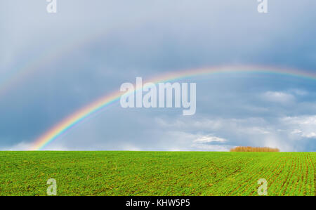 real rainbow in dark sky over green field Stock Photo