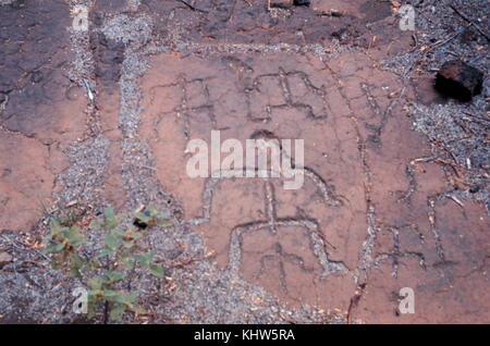 Photograph of Petroglyphs in Hawaii. Petroglyphs are images created by removing part of a rock surface by incising, picking, carving, or abrading, as a form of rock art. Dated 20th Century Stock Photo