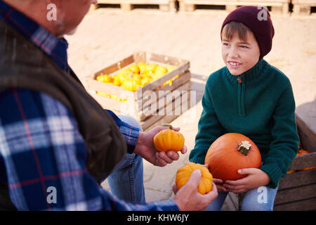 Farmer and grandson at pumpkin farm Stock Photo