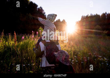 Father and sons walking through meadow, rear view, Ural, Sverdlovsk, Russia, Europe Stock Photo