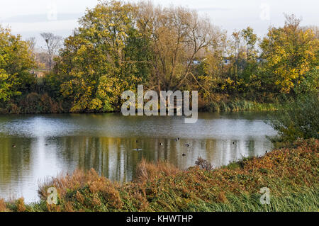 Reservoir in autumn on Walthamstow Wetlands, London, England, United Kingdom, UK Stock Photo