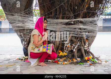 Vat Savitri, woman tying thread to Banyan tree and praying. Pune, Maharashtra, India Stock Photo