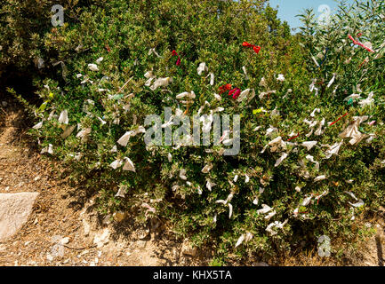 'Love' ribbons left on a tree at the entrance to a tourist popular Aphrodite Rock beach in Cyprus Stock Photo
