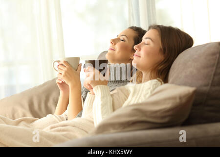 Two relaxed roommates in winter sitting on a sofa in the living room of a house interior Stock Photo
