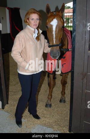 WELLINGTON, FL-FEBRUARY 05; (EXCLUSIVE COVERAGE) Sarah Ferguson Duchess of York enjoys a day with Oscar Bermudz at the Palm Beach Polo and Country Club in Wellington Florida. February 05, 2005. Miami Beach, Florida   People:  Sarah Ferguson Duchess of York Stock Photo