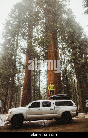 Young man standing on top of vehicle in snowy Sequoia National Park, California, USA Stock Photo